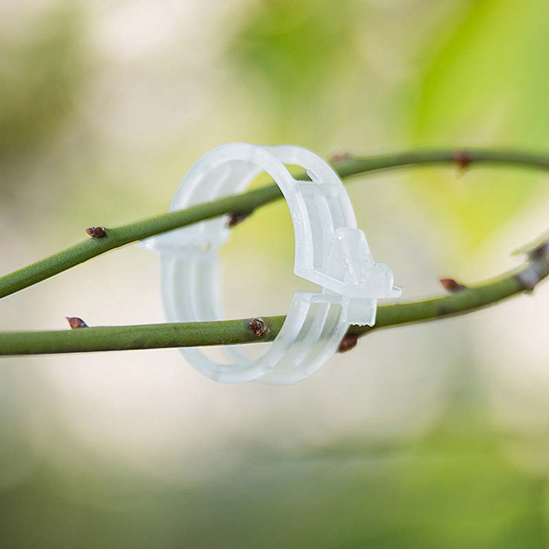 Plantefikseringsklemmer