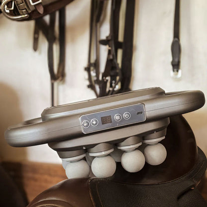 8-hodet massasjepistol for hest