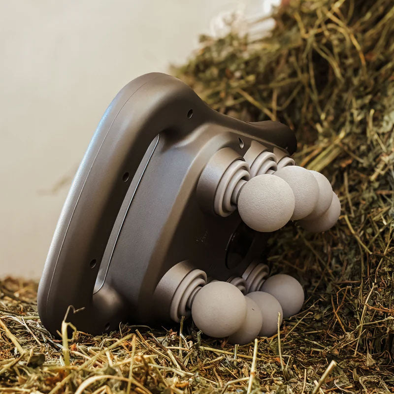 8-hodet massasjepistol for hest