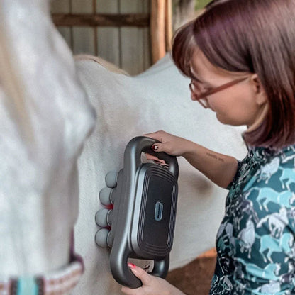 8-hodet massasjepistol for hest