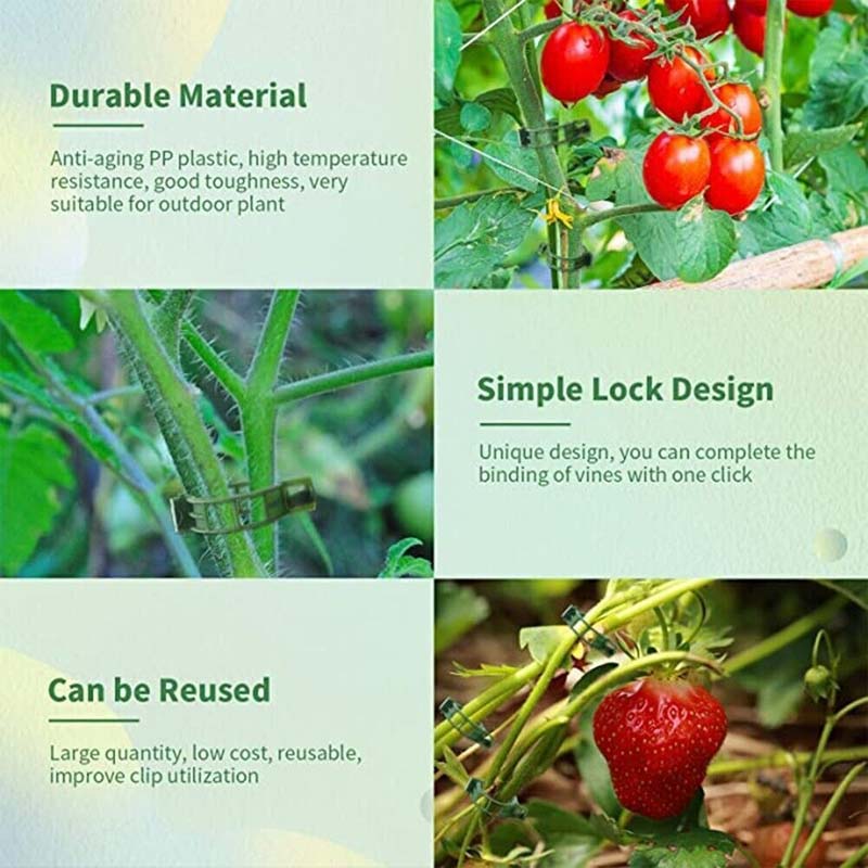 Plantefikseringsklemmer