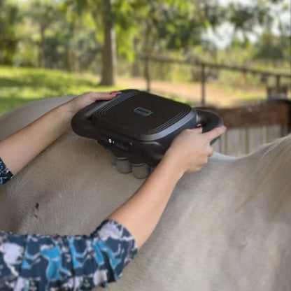 8-hodet massasjepistol for hest