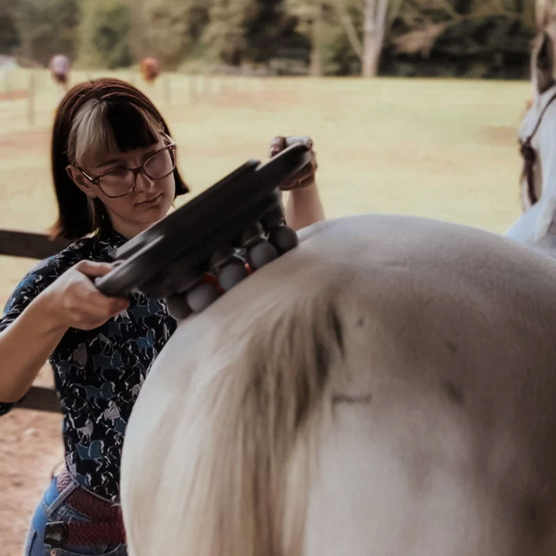 8-hodet massasjepistol for hest