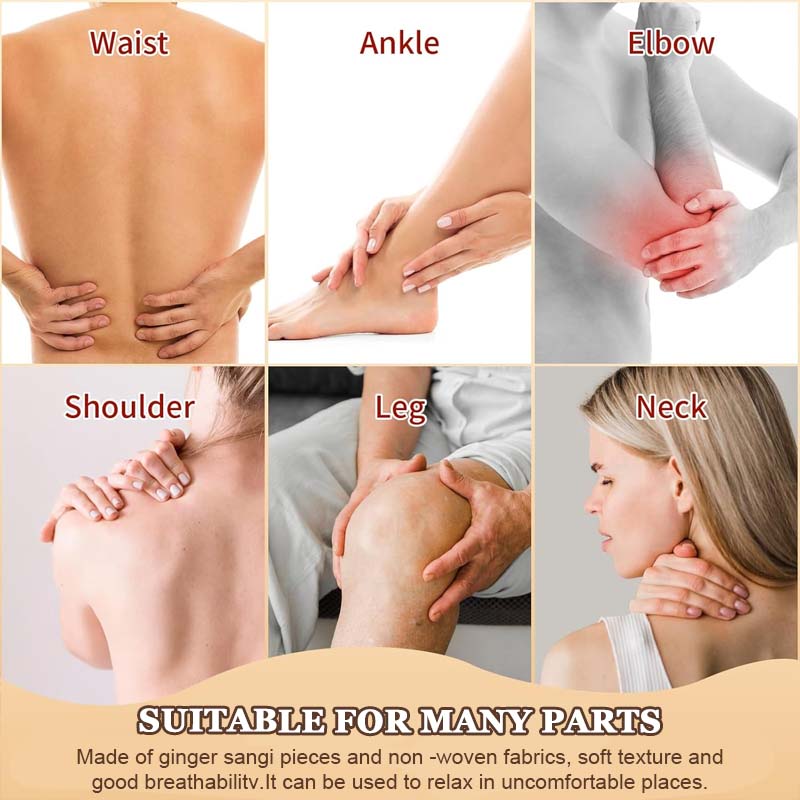 🔥2025 Ny ankomst 🔥Malurtmoksibussjon Leddplaster