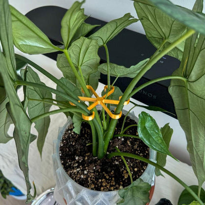 Plantestamme støtte (4 stk)