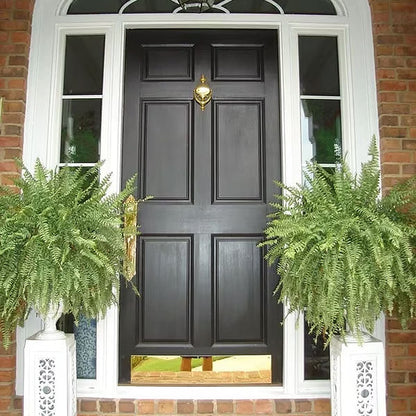 UV-bestandig, naturtro kunstig Boston Fern