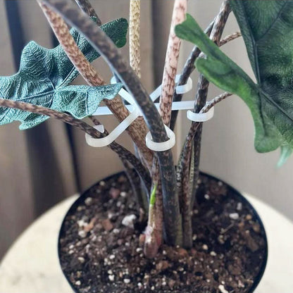 Plantestamme støtte (4 stk)