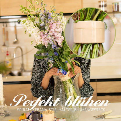 🎄Valentinsdagstilbud - 49 % RABATT🎄Spiral Ikebana-stilkholder