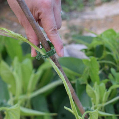 Plantefikseringsklemmer