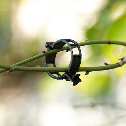 Plantefikseringsklemmer