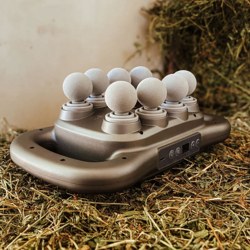 8-hodet massasjepistol for hest