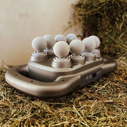 8-hodet massasjepistol for hest