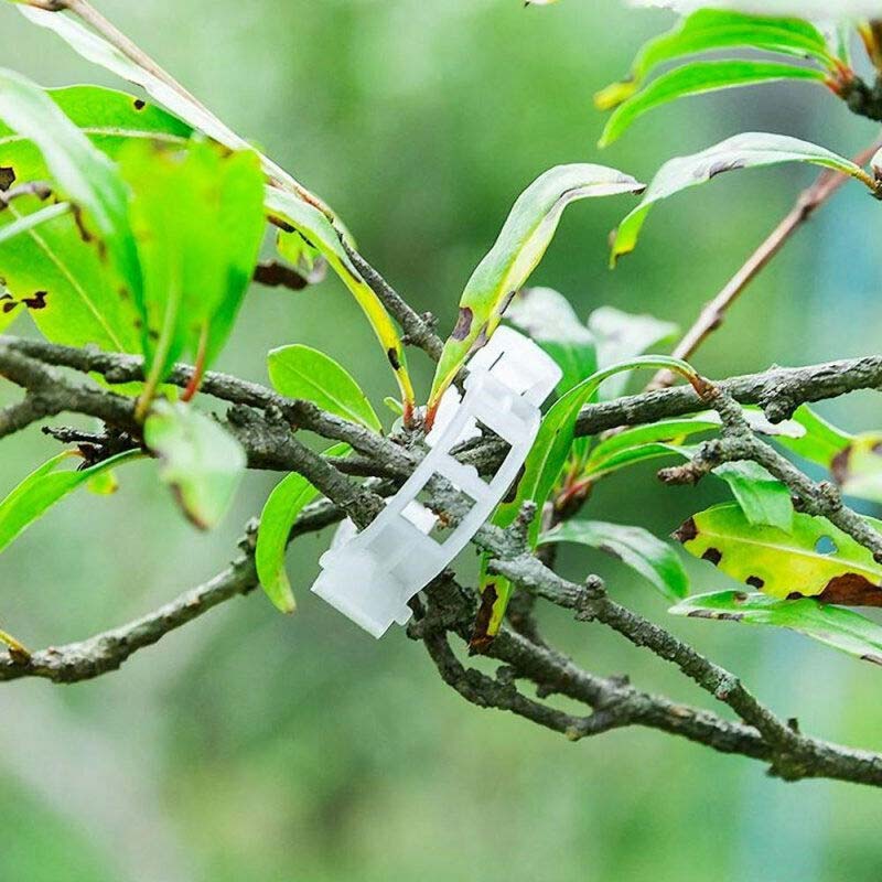 Plantefikseringsklemmer