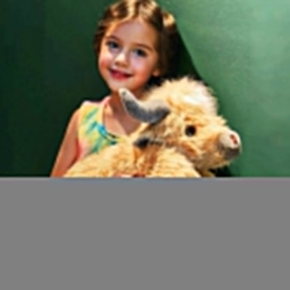 🔥 Siste dag 49 % rabatt 🎁 Søt tegneserie-kosedyr av høylandsky