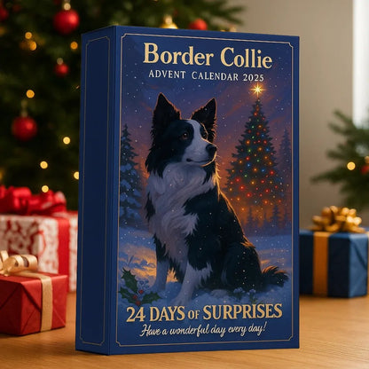 Border Collie adventskalender 2025
